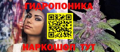 jwh Туймазы