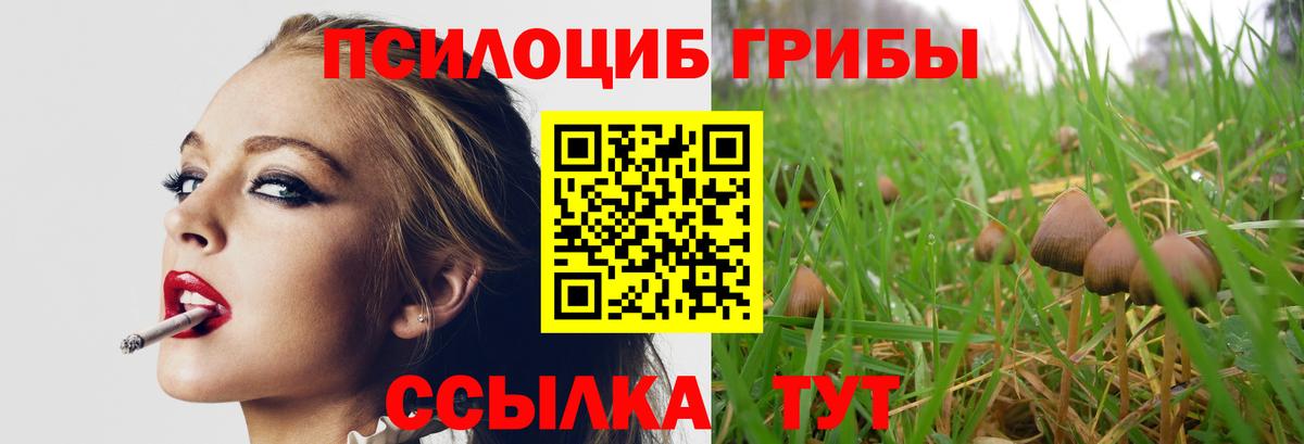 Псилоцибиновые грибы Psilocybine cubensis  Вход с VPN  Новозыбков  где купить наркотик  Галлюциногенные грибы GOLDEN TEACHER 