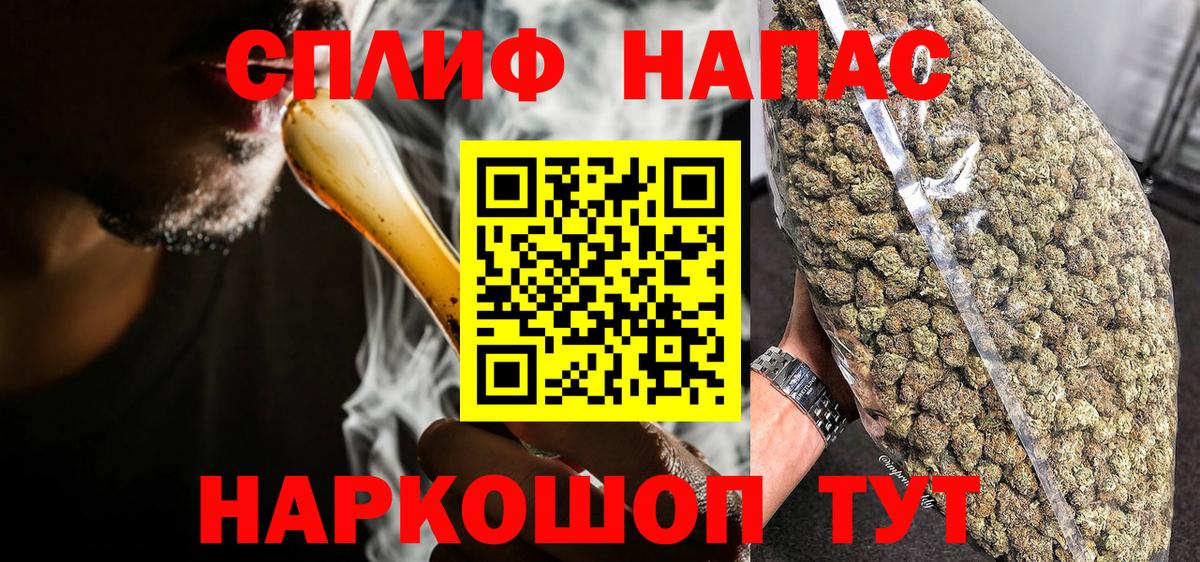 МЕФ Новозыбков